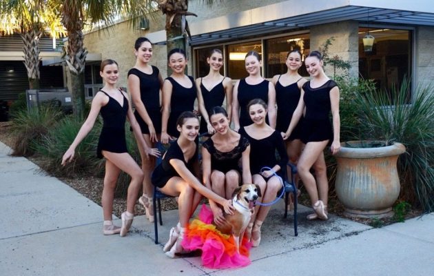Florida Ballet dancers raise awareness for shelter pets