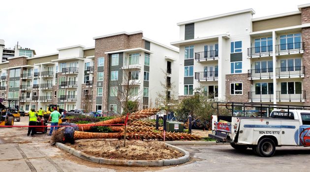 Tenants moving in to Avondale apartment complex