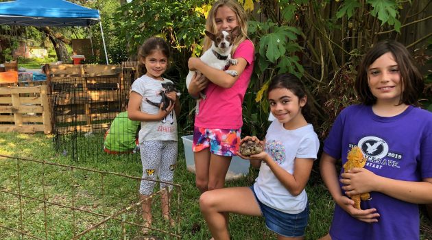 Neighborhood show allows for close encounters between residents and pets