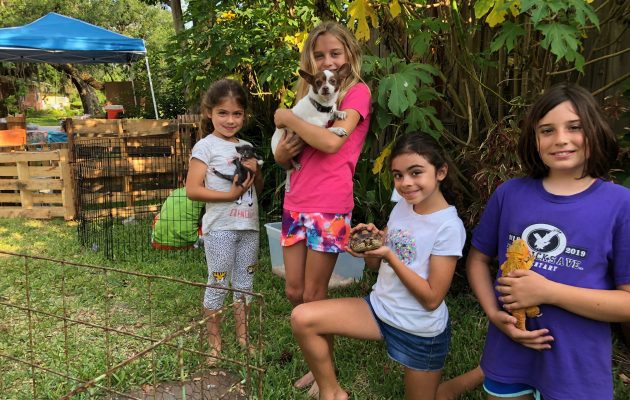 Neighborhood show allows for close encounters between residents and pets