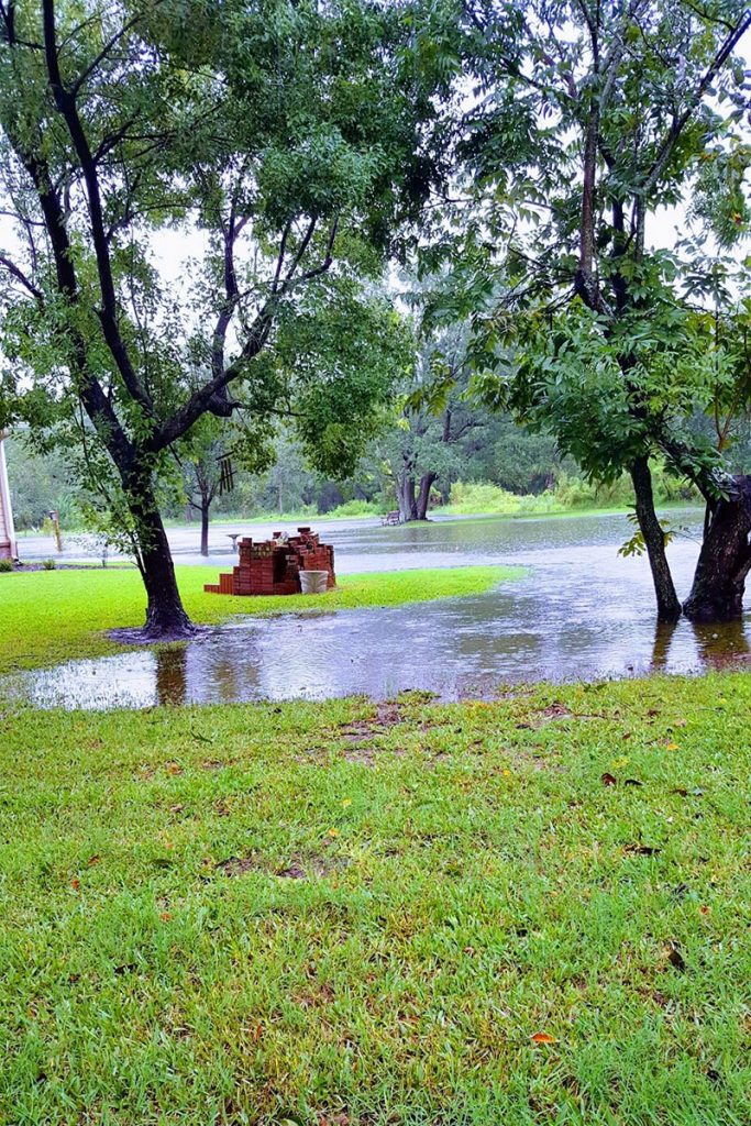 Bobby Back’s backyard from Bee Street after Hurricane Irma.