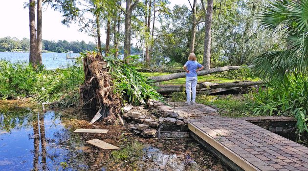 With new City resiliency committee, Carlucci aims to mitigate flooding With new City resiliency committee, Carlucci aims to mitigate flooding