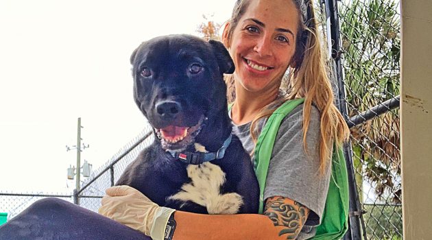 CDC: Companion pets won’t get you sick
