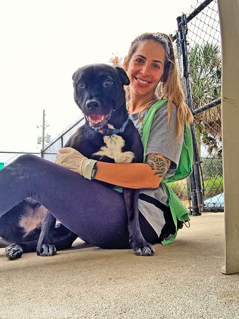 Chrissy Vanorsdale, a volunteer for ACPS & Friends of Jacksonville Animals (FOJA) is playing with an adoptable dog.