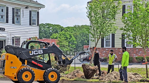 Tree planting brings renewal to Cathedral District