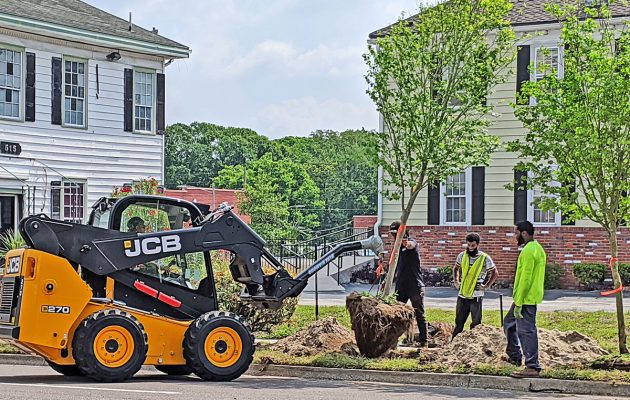 Tree planting brings renewal to Cathedral District Tree planting brings renewal to Cathedral District