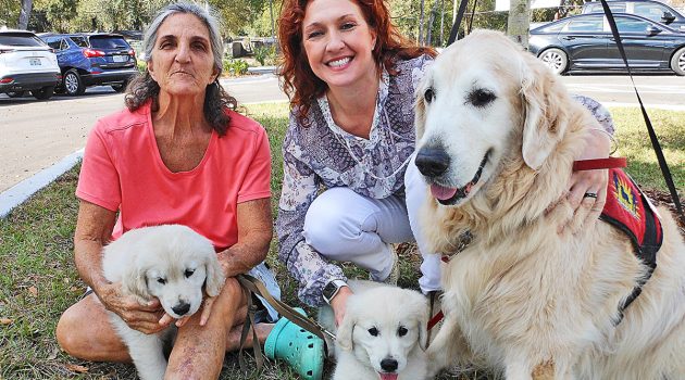 Canine lifelines for children