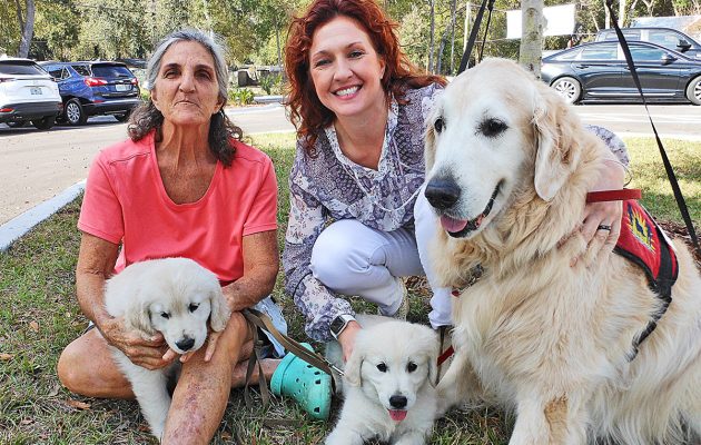 Canine lifelines for children