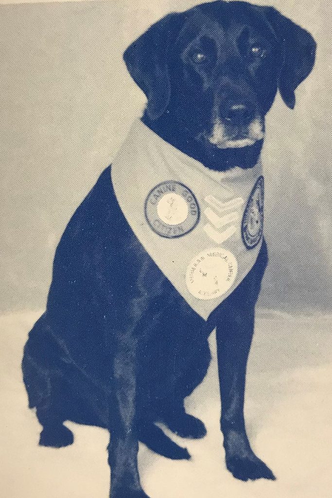 Wolfson Children’s Hospital’s original therapy dog, Jenni, owned by Linda Dunn