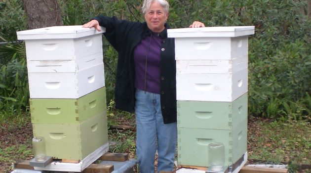 Celebrating bees & beekeepers in June