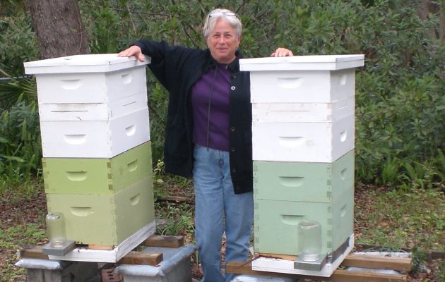 Celebrating bees & beekeepers in June