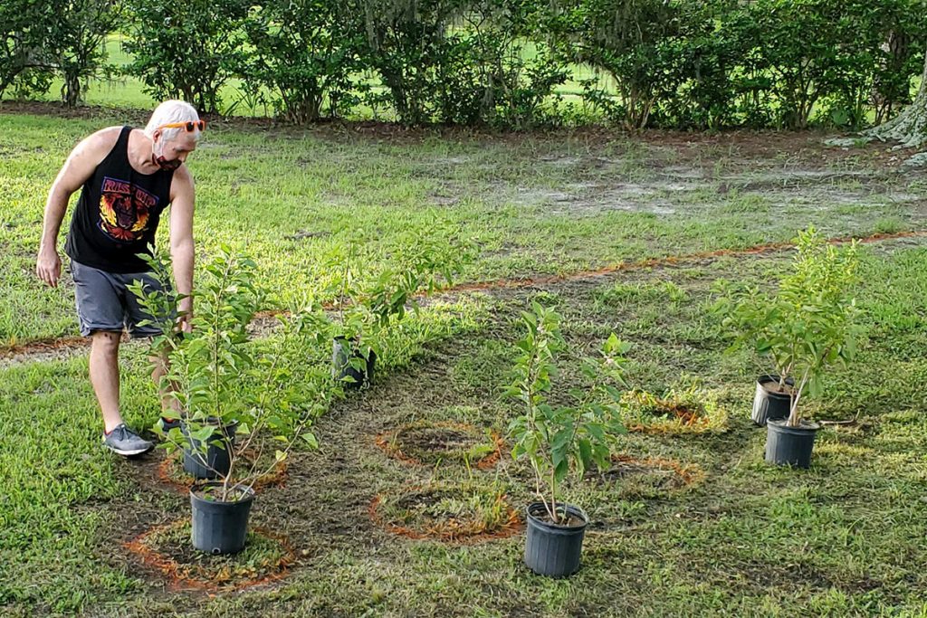 Dan Hutton helps with the planting in Willowbranch Park.