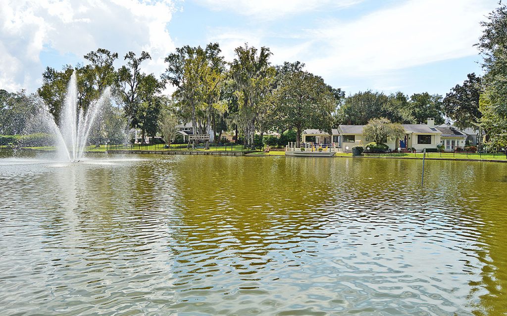 Colonial Manor residents are wondering where the waterfowl at the Duck Pond has gone.