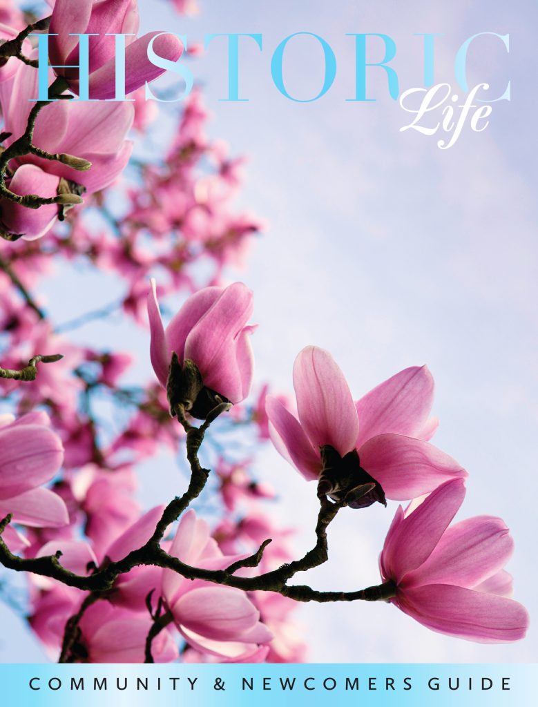 Historic Life - Vol. 6