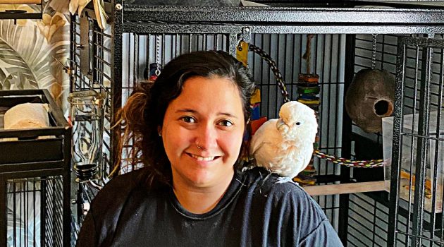 Pet birds, parrots require special knowledge and care