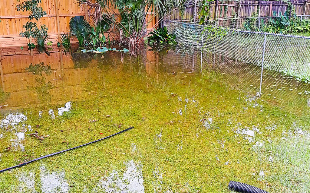 Flooding in Craig and Flo McColskey’s back yard