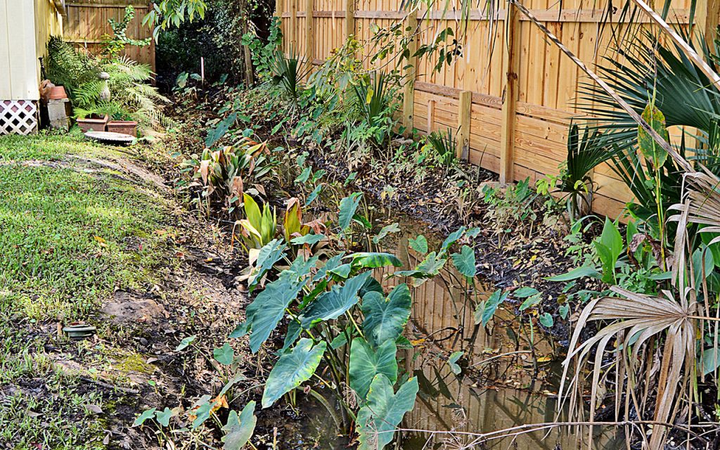 The drainage trench is full behind Craig and Flo McColskey’s Palmer Avenue home