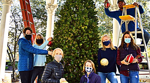 ‘Tis the Season