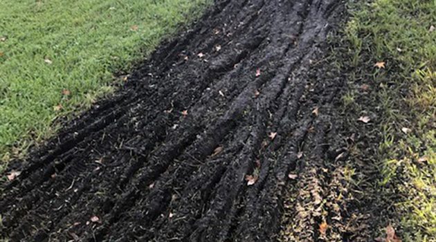 Reader concerned off-road biking will damage beloved park