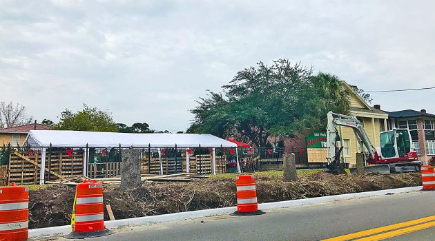 ‘Tony’ trees removed to make way for Orange Line bus stop