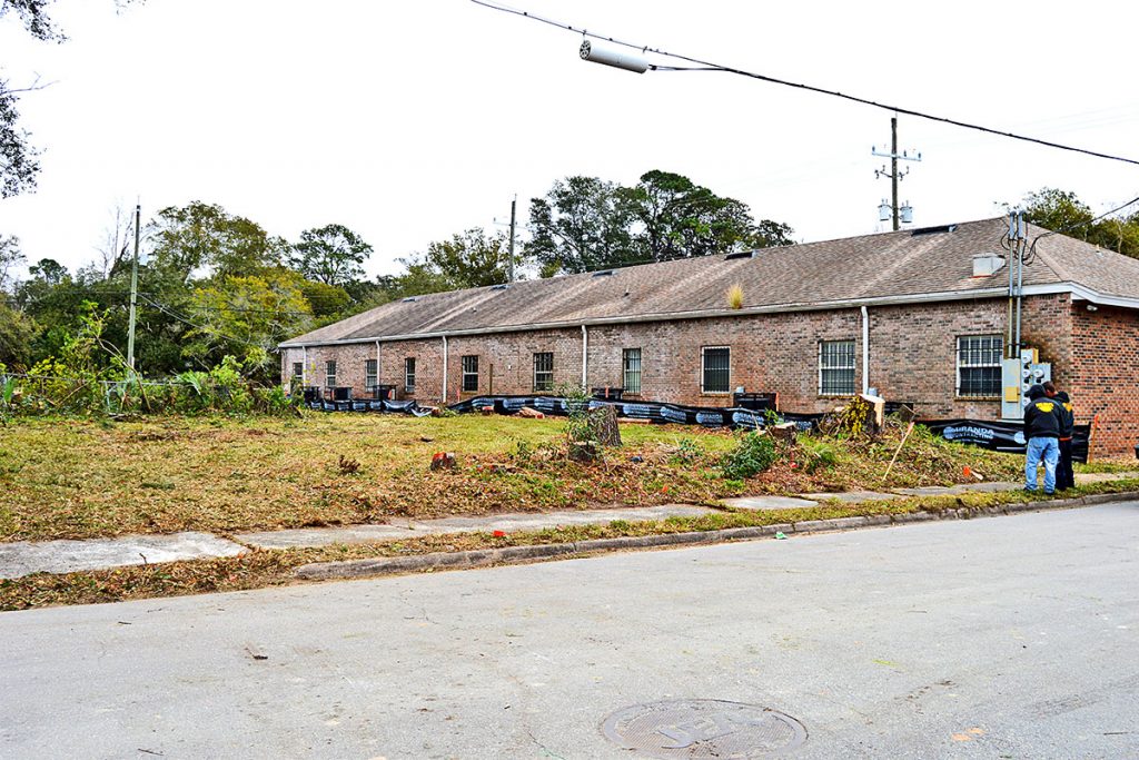 Trees behind a building at the corner of Alford Place and Mango Place were cleared by Big Ben’s Tree Service in January