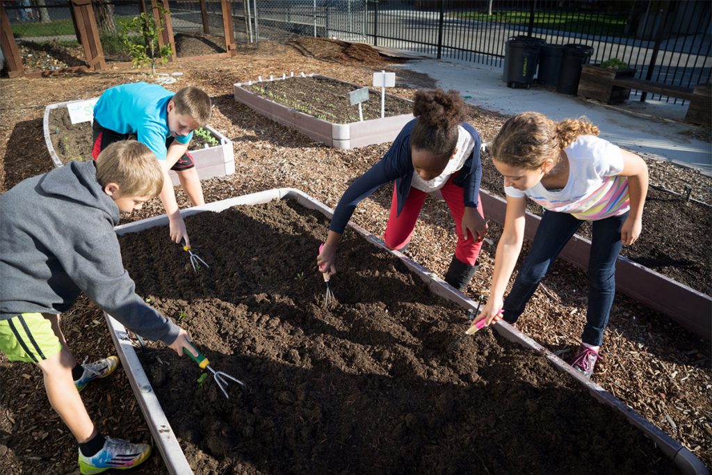 Following a Blue Zones approach means creating a healthier community for Jacksonville. (Photo taken pre-COVID-19)