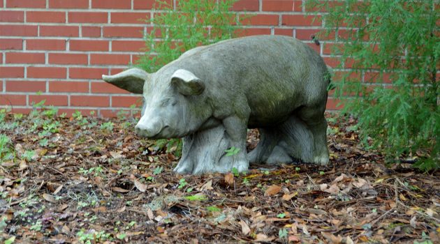 Pig house becomes unassuming landmark in San Marco