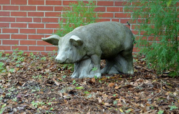 Pig house becomes unassuming landmark in San Marco