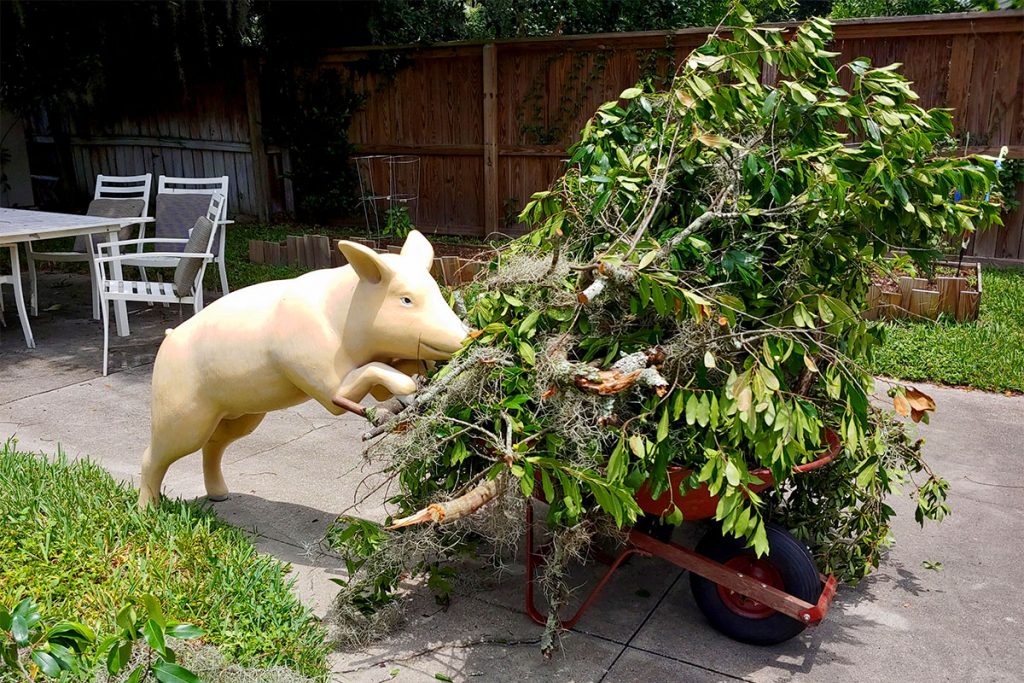 Winston pushes a wheelbarrow full of debris after Hurricane Irma