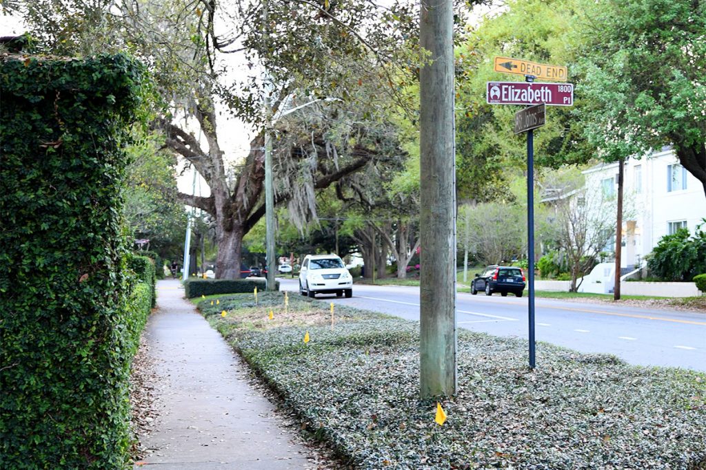 Corner of St Johns Avenue and Elizabeth Place