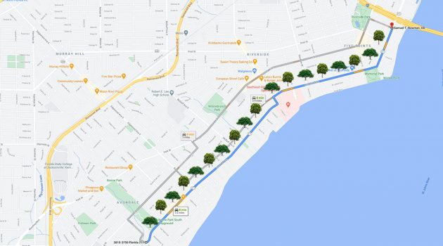New tree canopy coming to Riverside and Avondale