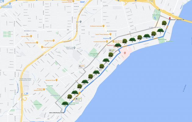 New tree canopy coming to Riverside and Avondale
