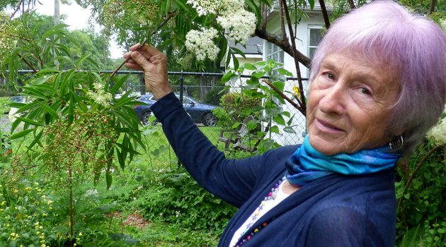 Local Folks: Brenda Star Walker