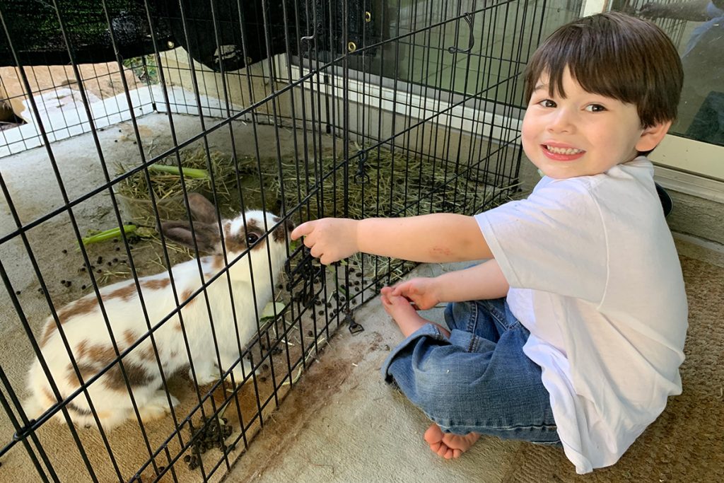 Luke with Sugar Bunny