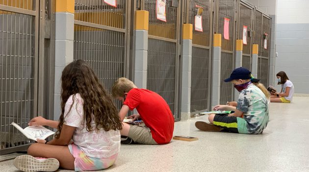 ANIMAL TEACHERS