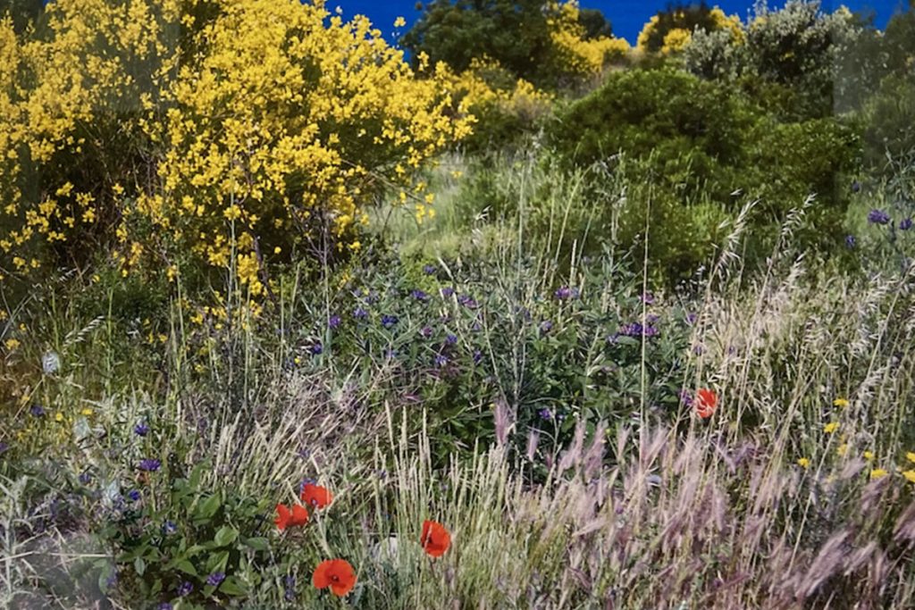  “Roadside in Croatia,” Dan Hadwin, photograph