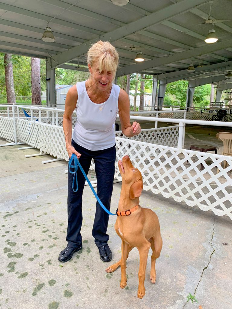 Virginia Novak and Vizsla Bice’, 8 months.
