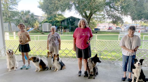 Organization helps develop better skills for local pet owners