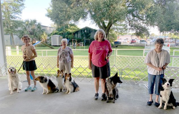 Organization helps develop better skills for local pet owners