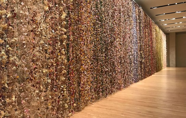 Experience Nature through Art