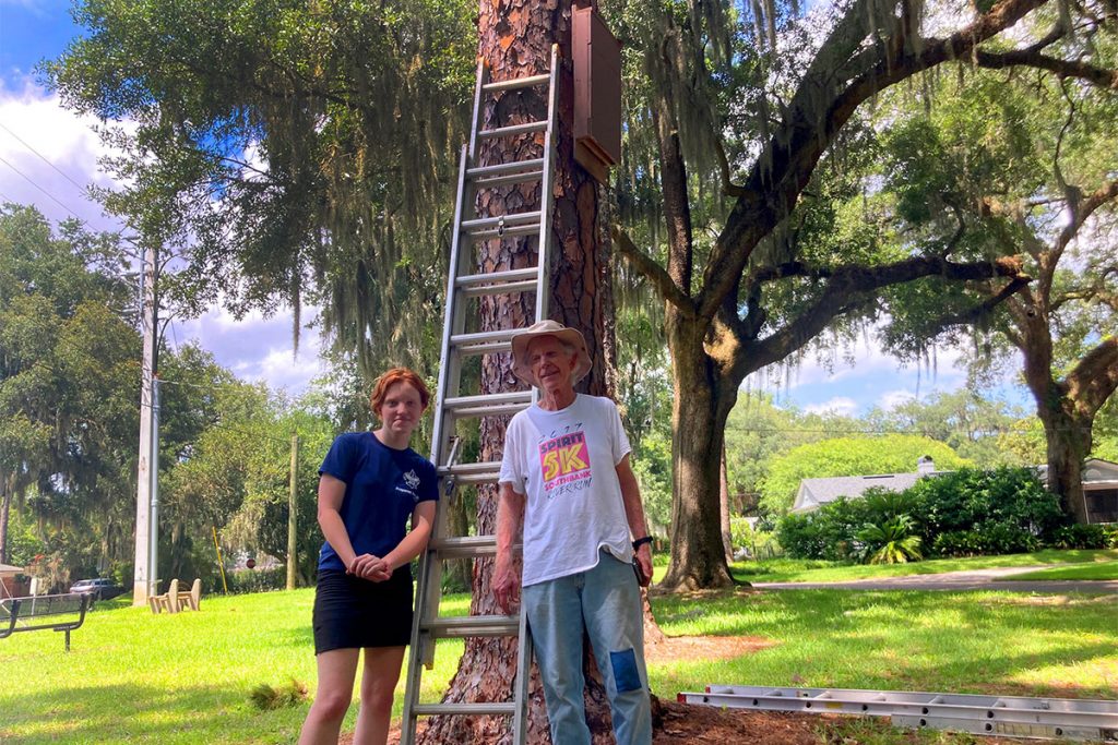 Lillian Bodin installing bat boxes alongside her grandfather, Charles Parker.