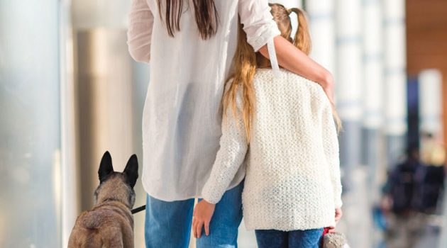 Pet-Friendly Domestic Violence Shelters Help More Victims to Safety