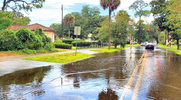 Defoor hosts virtual town hall on crime, drainage woes