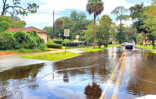 Defoor hosts virtual town hall on crime, drainage woes