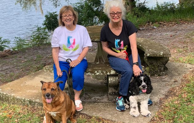 Friends of Jacksonville Animals (FOJA) celebrates 4,000th shelter dog treated for heartworm disease