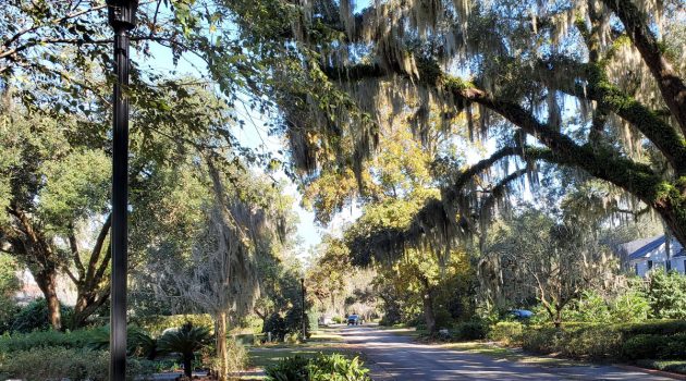 JEA completes ‘poles to holes’ utility lines conversion in Ortega Point North community