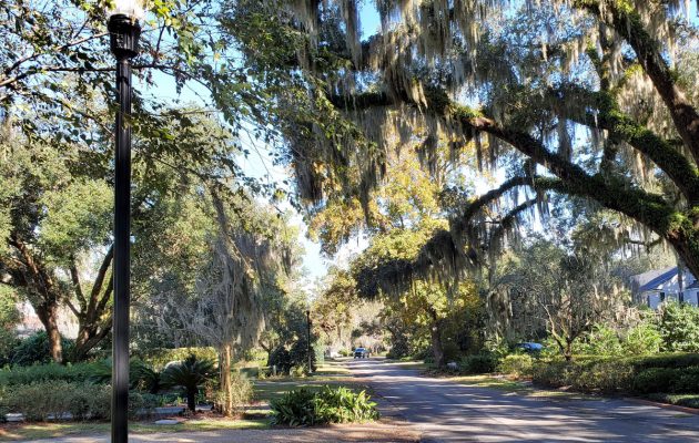 JEA completes ‘poles to holes’ utility lines conversion in Ortega Point North community