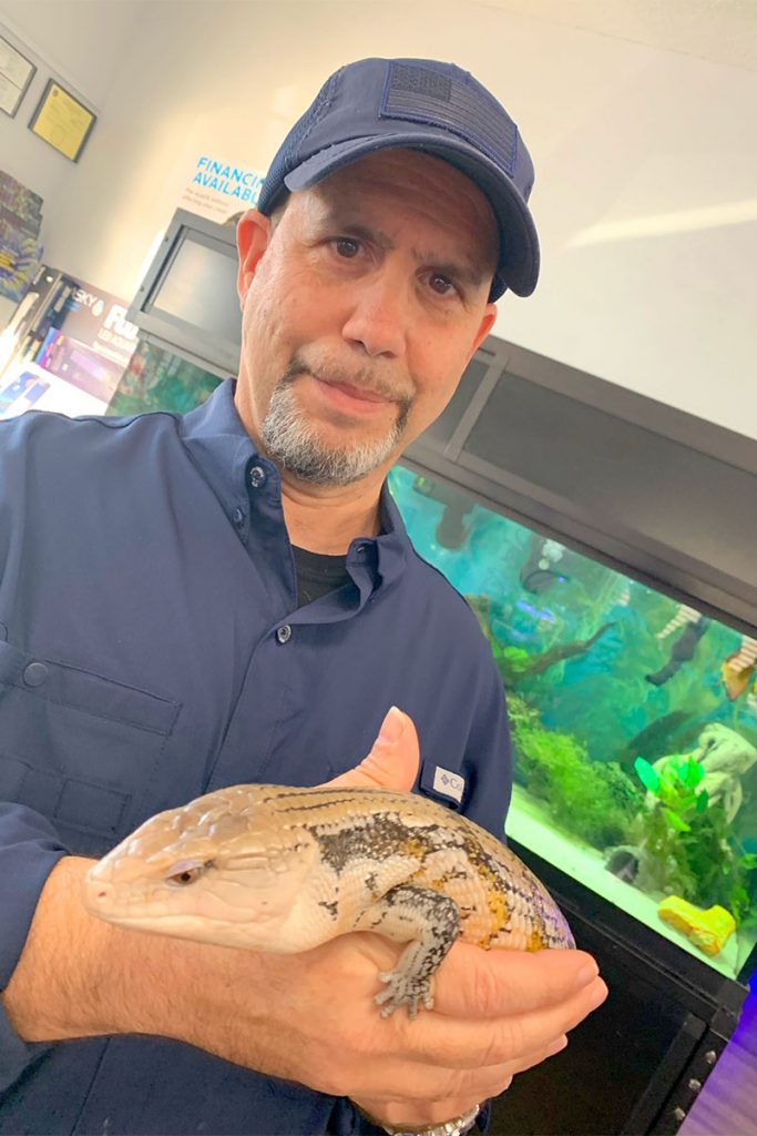 Rossi with Shrek, blue-tongued skink