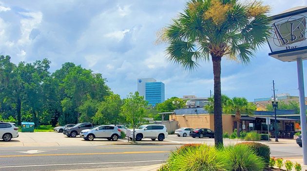 Gaffney withdraws downtown self-storage bill