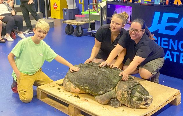 MOSH hosts birthday party for Tonca the turtle